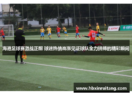 海港足球赛激战正酣 球迷热情高涨见证球队全力拼搏的精彩瞬间